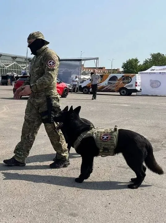 Шевроны и экипировка «Академии К9» — 02.06.2023